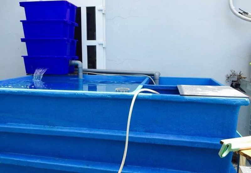 Bồn Composite Nuôi Thủy Sản - Ảnh 4