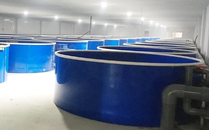 Bồn Composite Nuôi Thủy Sản - Ảnh 3